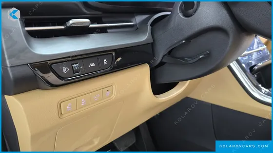 KIA CARNIVAL GASOLINE 9-SEATER SIGNATURE