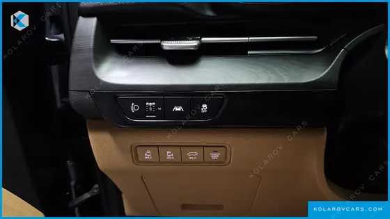 KIA CARNIVAL 9-SEATER NOBLESSE