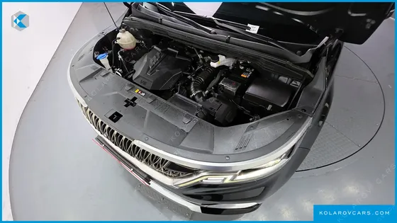 KIA CARNIVAL GASOLINE 9-SEATER HI-LIMOUSINE