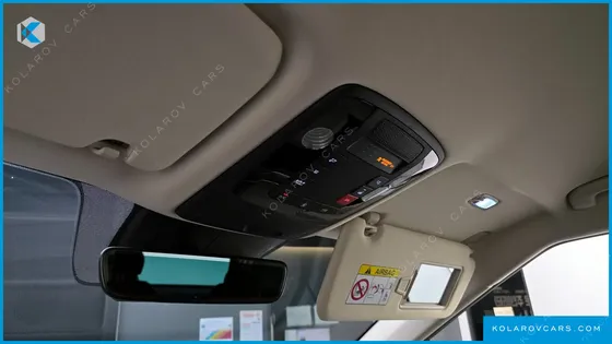 KIA CARNIVAL GASOLINE 9-SEATER HI-LIMOUSINE