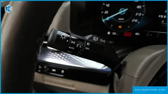 KIA CARNIVAL GASOLINE 9-SEATER HI-LIMOUSINE