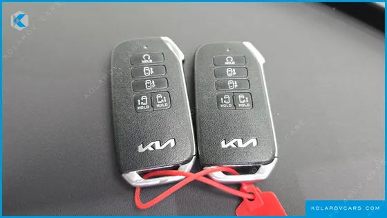 KIA CARNIVAL GASOLINE 9-SEATER SIGNATURE