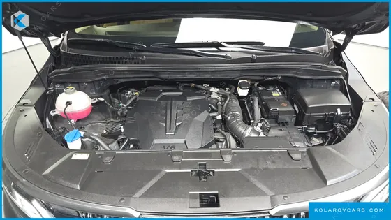 KIA CARNIVAL GASOLINE 9-SEATER SIGNATURE