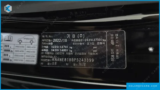 KIA CARNIVAL 9-SEATER SIGNATURE