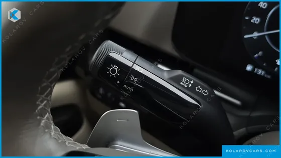 KIA CARNIVAL 9-SEATER SIGNATURE