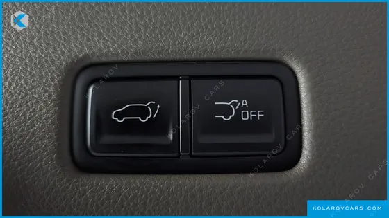 KIA CARNIVAL GASOLINE 9-SEATER HI-LIMOUSINE