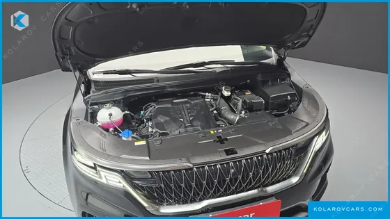 KIA CARNIVAL GASOLINE 9-SEATER SIGNATURE