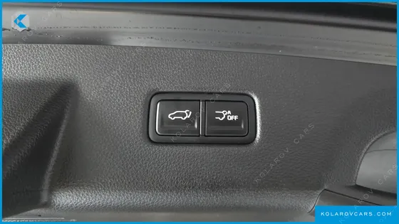 KIA CARNIVAL GASOLINE 9-SEATER SIGNATURE