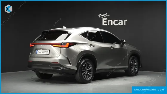 LEXUS NX PREMIUM