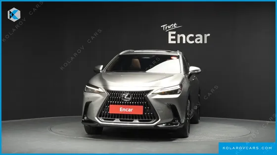 LEXUS NX PREMIUM