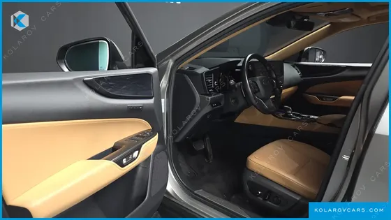 LEXUS NX PREMIUM
