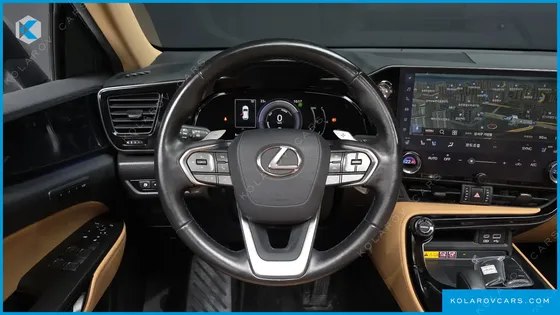 LEXUS NX PREMIUM
