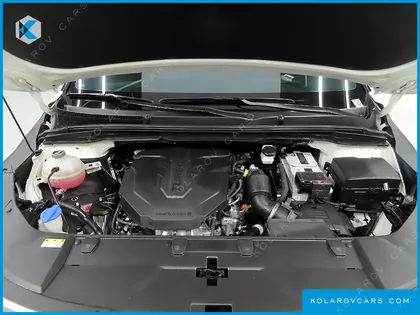 KIA CARNIVAL 9-SEATER HI-LIMOUSINE
