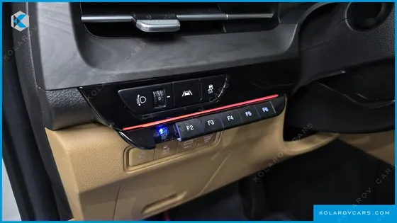 KIA CARNIVAL GASOLINE 9-SEATER LIMOUSINE(SPECIAL VEHICLE)