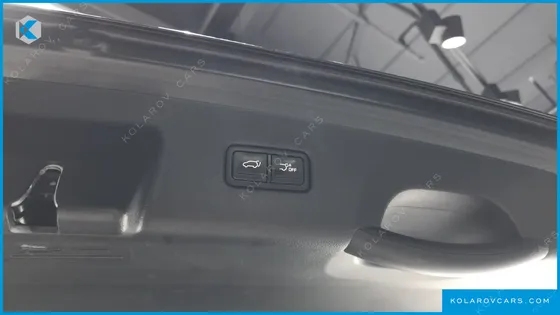 KIA CARNIVAL GASOLINE 9-SEATER SIGNATURE