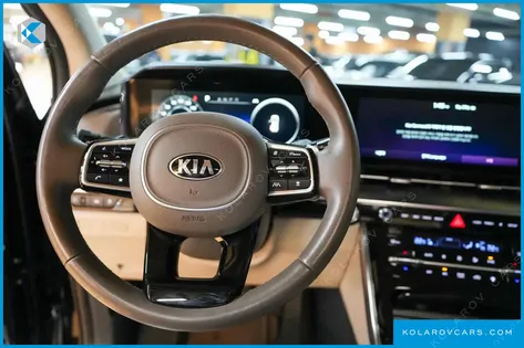KIA CARNIVAL GASOLINE 9-SEATER LIMOUSINE(SPECIAL VEHICLE)