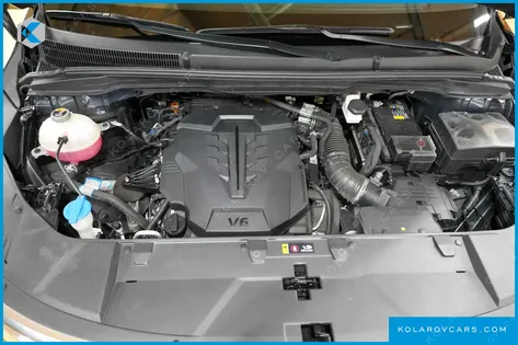 KIA CARNIVAL GASOLINE 9-SEATER LIMOUSINE(SPECIAL VEHICLE)