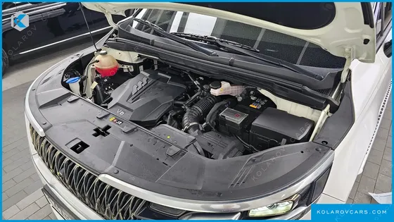 KIA CARNIVAL GASOLINE 9-SEATER HI-LIMOUSINE