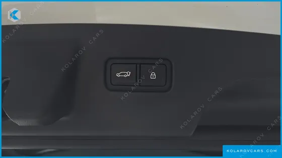HYUNDAI PALISADE GASOLINE 2.5T 4WD 9-SEATER