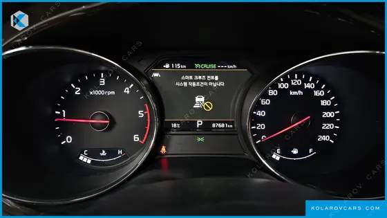 KIA CARNIVAL 9-SEATER NOBLESSE SPECIAL