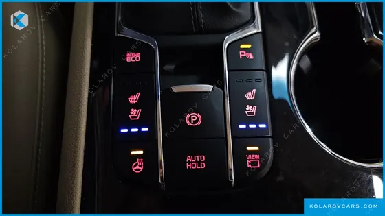 KIA CARNIVAL 9-SEATER NOBLESSE SPECIAL