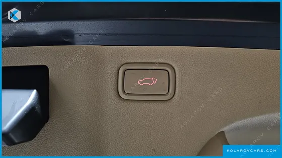 KIA CARNIVAL 9-SEATER NOBLESSE SPECIAL