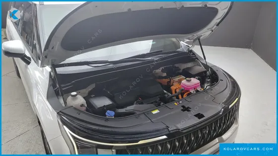 KIA CARNIVAL HEV 9SEATER SIGNATURE