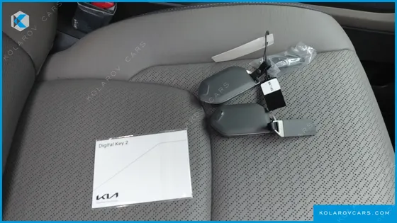 KIA CARNIVAL HEV 9SEATER SIGNATURE