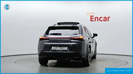 LEXUS UX 2.0 AWD