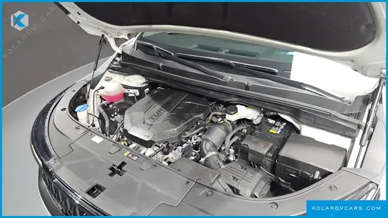 KIA CARNIVAL DIESEL 9-SEATER HI LIMOUSINE