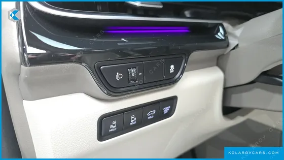 KIA CARNIVAL DIESEL 9-SEATER HI LIMOUSINE
