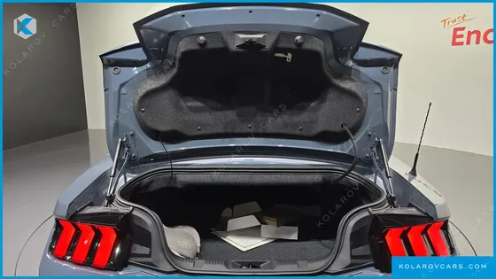FORD MUSTANG 2.3 ECOBOOST PREMIUM CONVERTIBLE