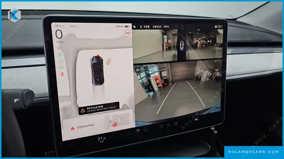 TESLA MODEL Y RWD