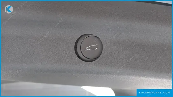 TESLA MODEL Y RWD