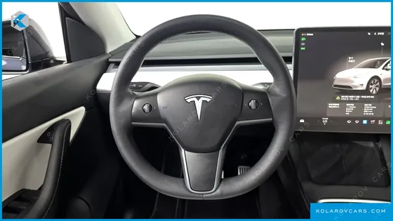 TESLA MODEL Y LONG RANGE AWD