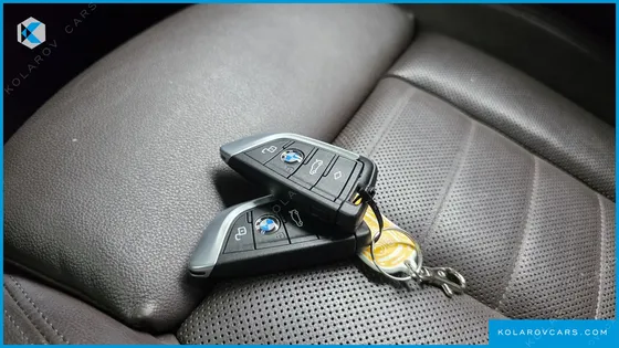 BMW X4 XDRIVE20I M SPORTS X ONLILE EXCLUSIVE EDITION
