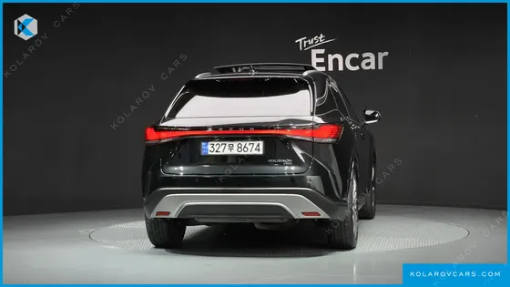 LEXUS RX LUXURY