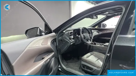LEXUS RX LUXURY