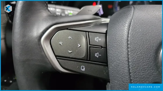 LEXUS RX LUXURY