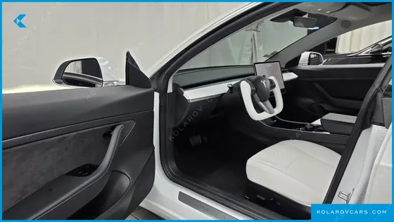 TESLA MODEL 3 STANDARD RANGE PLUE RWD