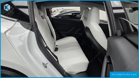TESLA MODEL 3 STANDARD RANGE PLUE RWD