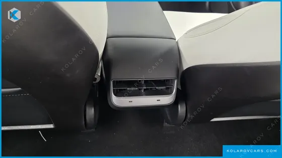 TESLA MODEL 3 STANDARD RANGE PLUE RWD