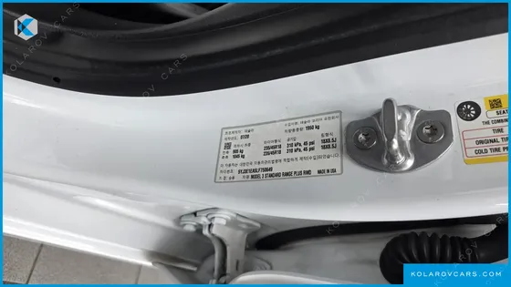 TESLA MODEL 3 STANDARD RANGE PLUE RWD