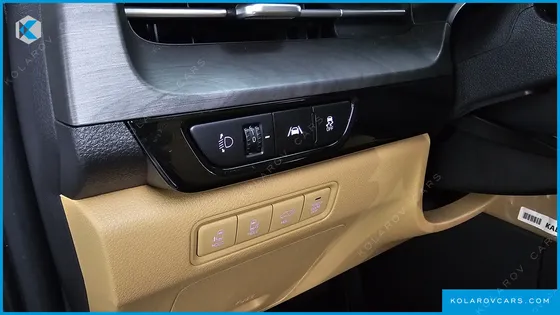 KIA CARNIVAL DIESEL 9-SEATER SIGNATURE