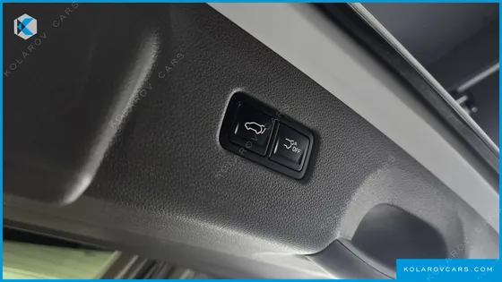 KIA CARNIVAL GASOLINE 4-SEATER HI-LIMOUSINE
