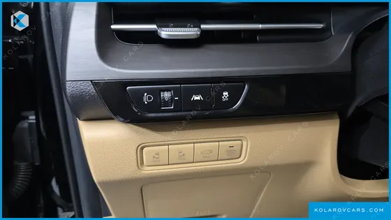 KIA CARNIVAL 9-SEATER NOBLESSE