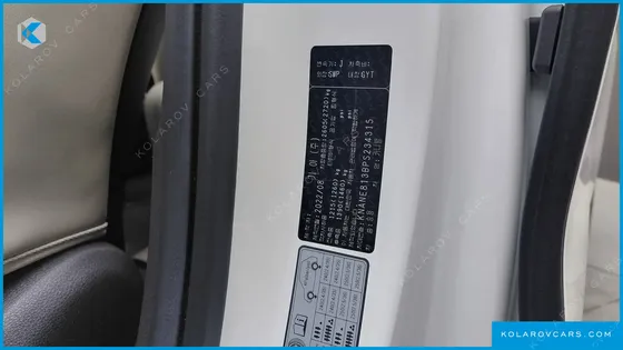 KIA CARNIVAL GASOLINE 9-SEATER SIGNATURE