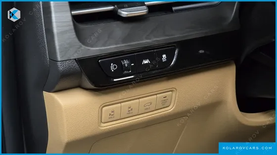 KIA CARNIVAL DIESEL 9-SEATER SIGNATURE