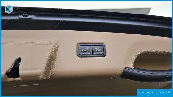 KIA CARNIVAL GASOLINE 9-SEATER LIMOUSINE(SPECIAL VEHICLE)