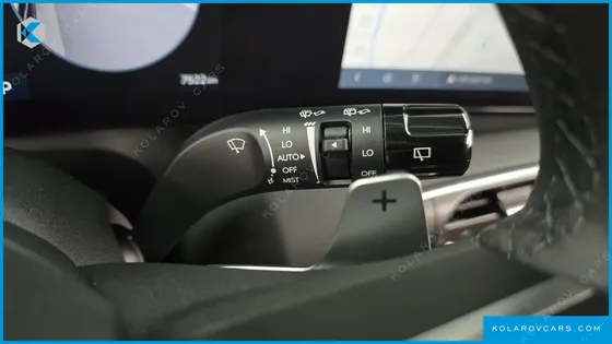 HYUNDAI PALISADE GASOLINE 2.5T 2WD 9-SEATER
